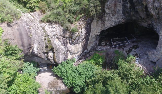 KAYIP TOPLULUK KAŞKA'LARIN İZİ ZONGULDAK'TA BULUNDU