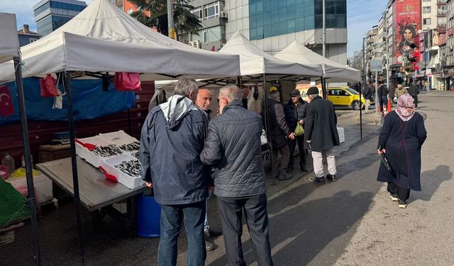 ZONGULDAK'TA HAMSİ VE İSTAVRİT 150 LİRADAN ALICI BULDU