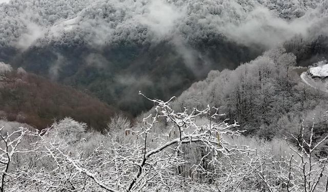 ALAPLI'YA MEVSİMİN İLK KARI DÜŞTÜ