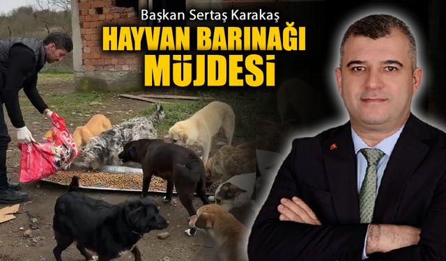 BAŞKAN KARAKAŞ'TAN YENİCE'YE HAYVAN BARINAĞI MÜJDESİ