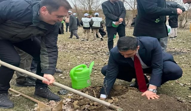 KASTAMONU'DA ŞEHİT VE GAZİLER İÇİN FİDAN DİKİLDİ