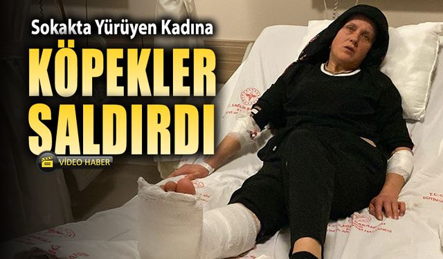 YOLDA YÜRÜYEN BİR KADINA KÖPEKLER SALDIRDI