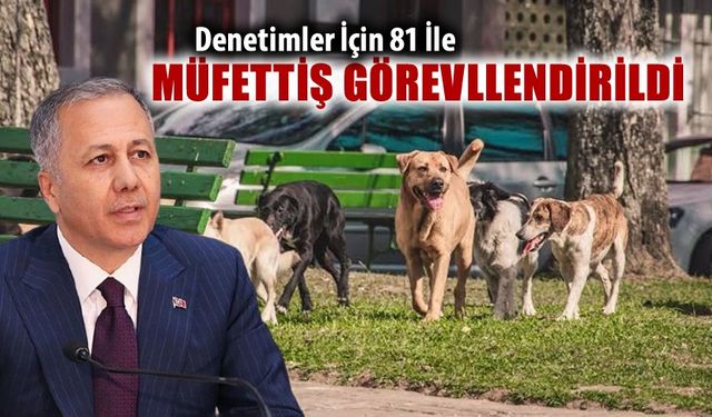 SOKAK HAYVANLARI İÇİN MÜFETTİŞ GÖREVLENDİRİLİYOR