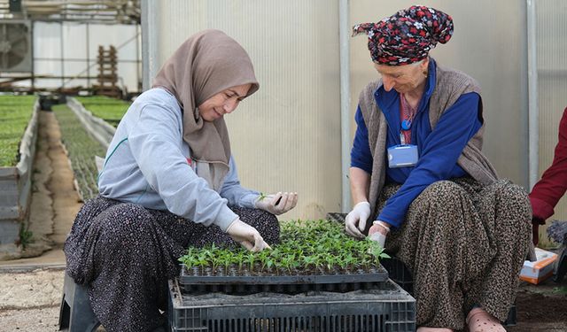 BOLU BELEDİYESİNDEN 200 BİN ADET YERLİ FİDE DESTEĞİ