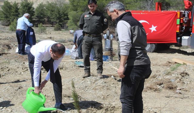 KASTAMONU'DA EMEKLİ ÖĞRETMENLER 200 FİDAN DİKTİ