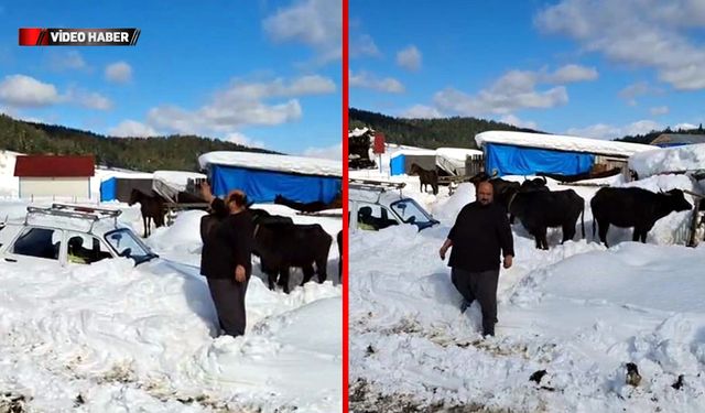 YAYLADA MAHSUR KALAN VATANDAŞ KURTARILDI