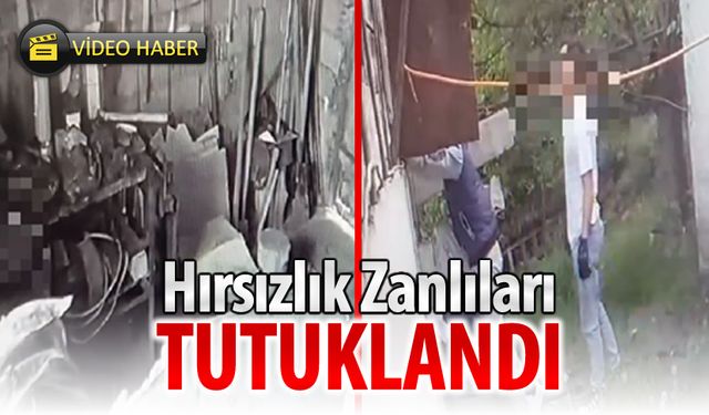 HIRSIZLIK ZANLILARI TUTUKLANDI