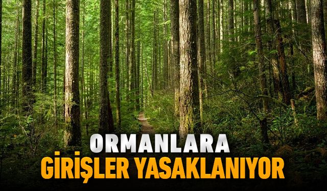 ORMANLARA GİRİŞLER YASAKLANIYOR
