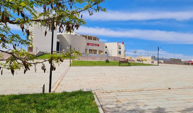 KASTAMONU ÜNİVERSİTESİ THE ETKİ SIRALAMASINDA YER ALDI