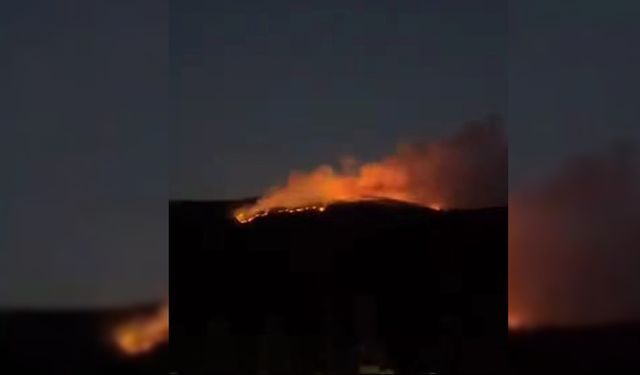 ÇANKIRI'DA ORMAN YANGINI