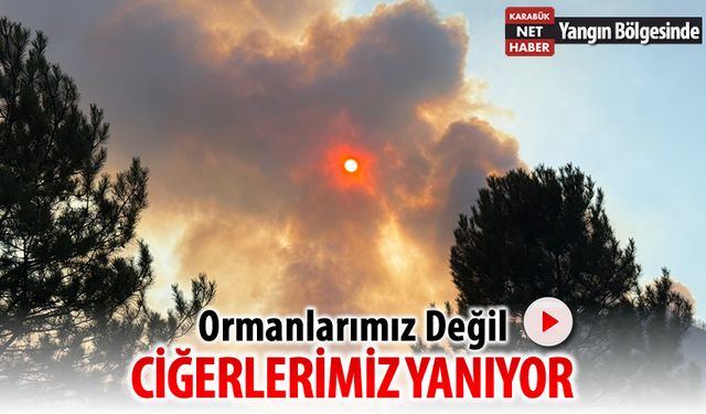 KARABÜK NET HABER YANGIN BÖLGESİNDE: CİĞERLERİMİZ YANIYOR