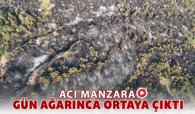 KELTEPE YANGIN BÖLGESİ DRON İLE GÖRÜNTÜLENDİ