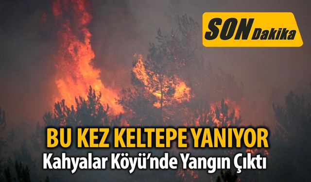 BU KEZ KELTEPE YANIYOR