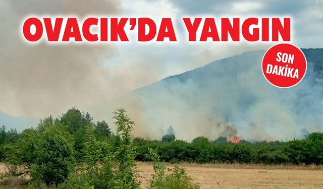 OVACIK'DA YANGIN ÇIKTI