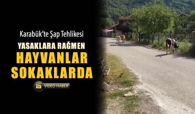 ŞAP HASTALIĞINA RAĞMEN HAYVANLAR SOKAKTA