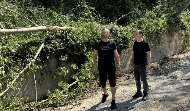BAŞKAN CIVA’DAN SEL ZARARI GÖREN MESİRE ALANINA ZİYARET