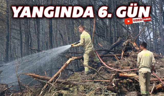 YANGINA 6 GÜNDÜR MÜDAHALE SÜRÜYOR