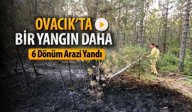 OVACIK ABDULLAR KÖYÜNDE YANGIN