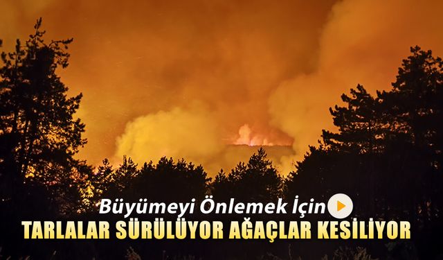YANGINI ÖNLEMEK İÇİN TARLALAR SÜRÜLÜYOR AĞAÇLAR KESİLİYOR