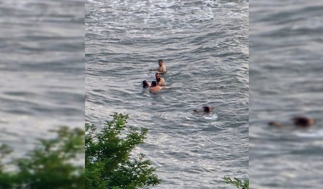 ALAPLI'DA 3 KADIN BOĞULMAKTAN SON ANDA KURTARILDI
