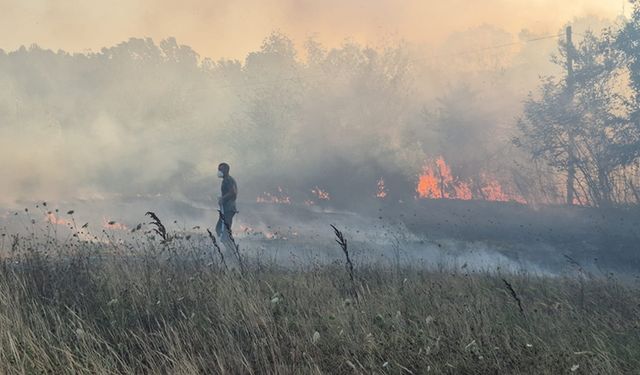 BARTIN'DAKİ ORMAN YANGINI KONTROL ALTINDA