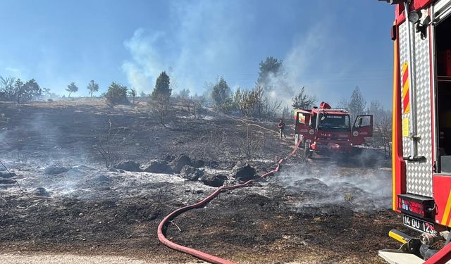 BOLU'DA ARAZİ YANGINI EVLERE SIÇRAMADAN SÖNDÜRÜLDÜ