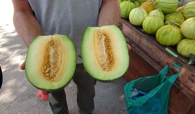 ÇANKIRI KAVUNUNUN TADI TOPRAĞIN TUZLU YAPISINDAN