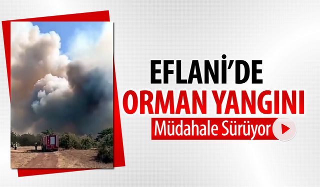 EFLANİ'DE ORMAN YANGINI BAŞLADI