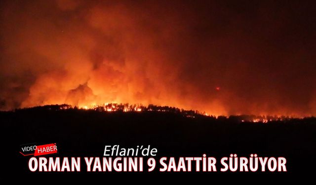 KARABÜK’TE ORMAN YANGINI 9 SAATTİR SÜRÜYOR