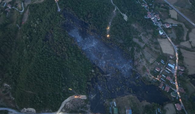 ORMAN YANGININDAKİ ACI TABLO HAVADAN GÖRÜNTÜLENDİ