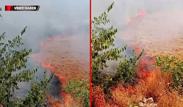 OT YANGINI BÜYÜMEDEN SÖNDÜRÜLDÜ