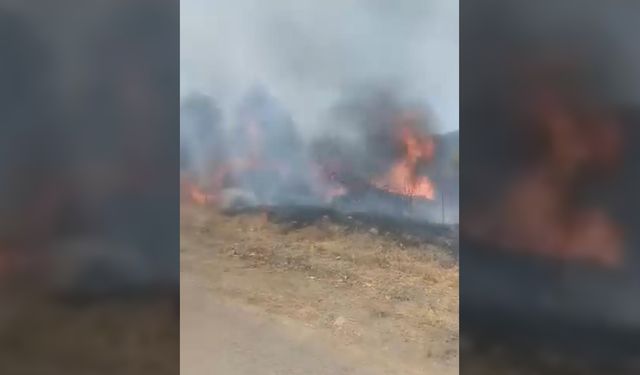 OTLUK YANGINI BÜYÜMEDEN SÖNDÜRÜLDÜ