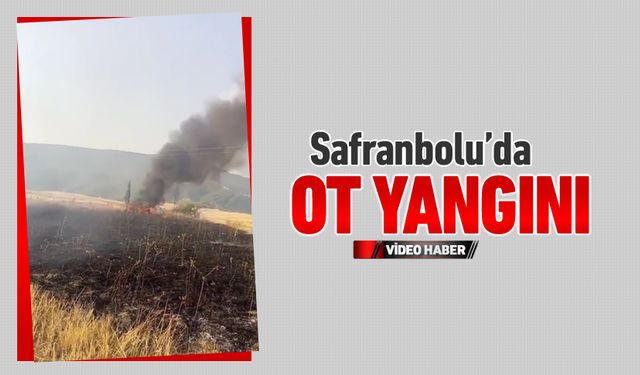 YAZIKÖY’DE OT YANGINI BÜYÜMEDEN SÖNDÜRÜLDÜ