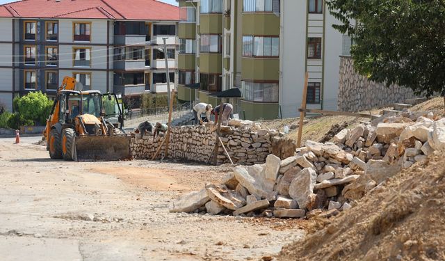 SAFRANBOLU'DA TAŞ DUVAR İNŞAATI BAŞLADI
