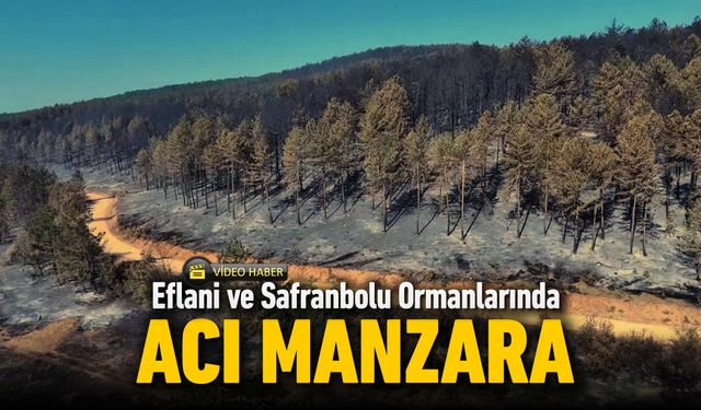 ORMAN YANGINLARINDA ACI MANZARA