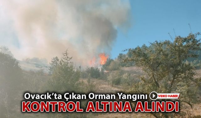 OVACIK ORMAN YANGINI KONTROL ALTINA ALINDI
