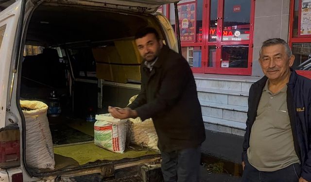 ALAPLI'DA KUZU KESTANESİNE İLGİ YOĞUN