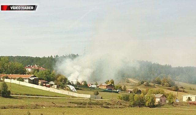 EFLANİ'DE ARILIKTA YANGIN ÇIKTI