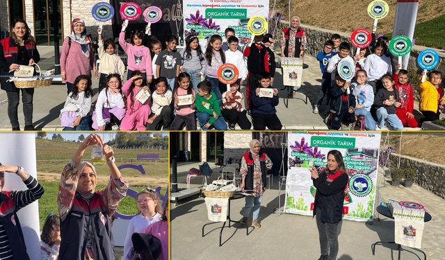 SAFRANOVA'DA ORGANİK SAFRAN HASADI GERÇEKLEŞTİRİLDİ