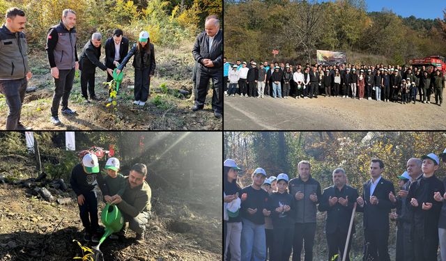 YENİCE'DE FİDANLAR TOPRAKLA BULUŞTU