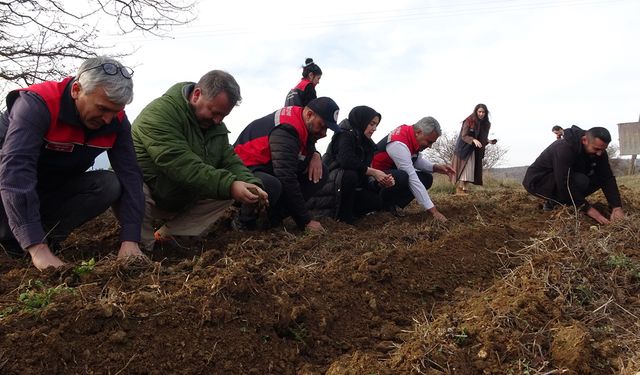 KASAMONU'DA 38 BİN FİDE DAĞITIMI YAPILDI