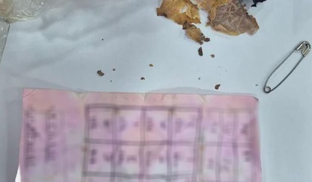 YAPI MARKETİN RAF ARALARINDAN MUSKA ÇIKTI