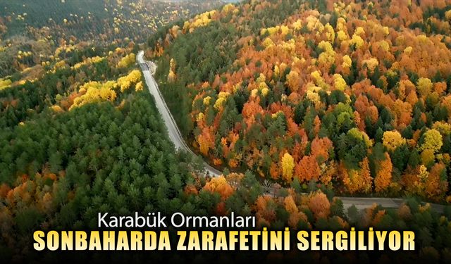KARABÜK ORMANLARI SONBAHARDA ZARAFETİNİ SERGİLİYOR
