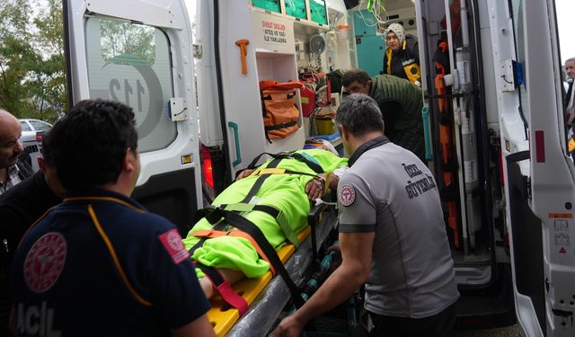 ORMANDA MANTAR TOPLAYAN İMAMMA AYI SALDIRDI