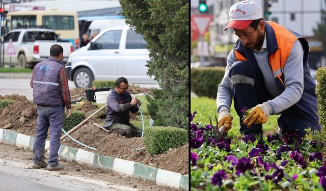 AKILLI SULAMA VE ESTETİK PEYZAJLA SAFRANBOLU GÜZELLEŞİYOR