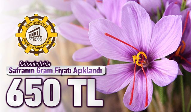 SAFRANBOLU TSO, SAFRAN’IN GRAMINI 650 LİRA OLARAK AÇIKLADI