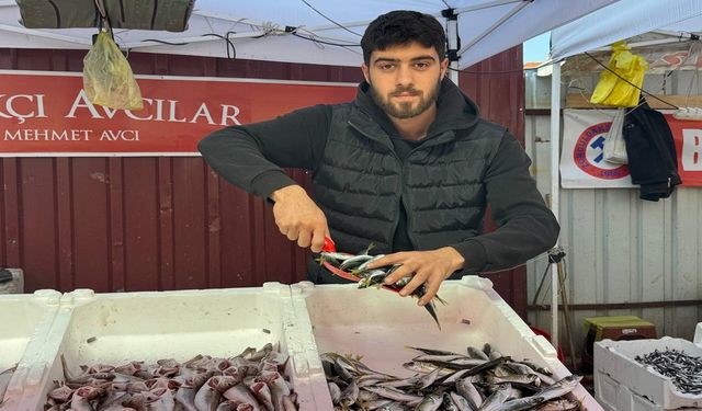 TEZGAHLARDA HAMSİNİN YERİNİ USKUMRU, MEZGİT, İSTAVRİT ALTI