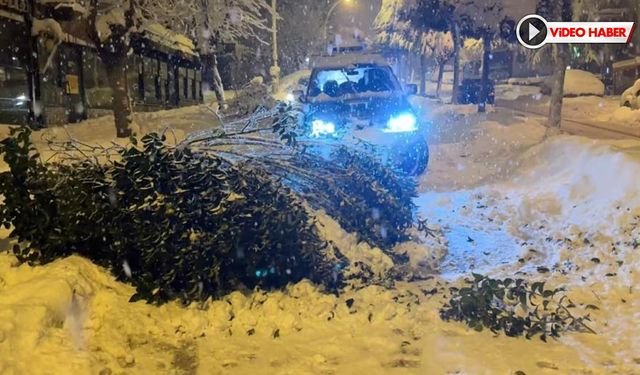 KAR AĞIRLIĞINA DAYANAMAYAN AĞAÇLARIN DALLARI KIRILDI