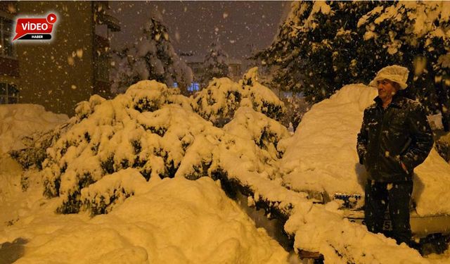 ÇAM AĞACI PARK HALİNDEKİ ARAÇLARIN ÜSTÜNE DEVRİLDİ