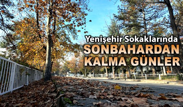 YENİŞEHİR SOKAKLARI SONBAHAR GÖRSEL ŞÖLENİYLE KIŞA ADIM ATIYOR